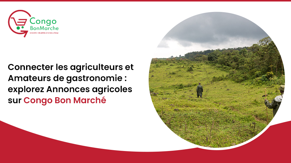 Connecter les Agriculteurs et les Passionnés de Cuisine : Explorez les Petites Annonces Agricoles sur Congo Bon Marché