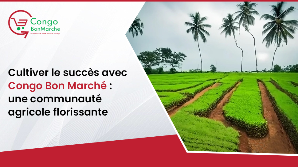 Cultiver le succès avec Congo Bon Marché : une communauté agricole florissante