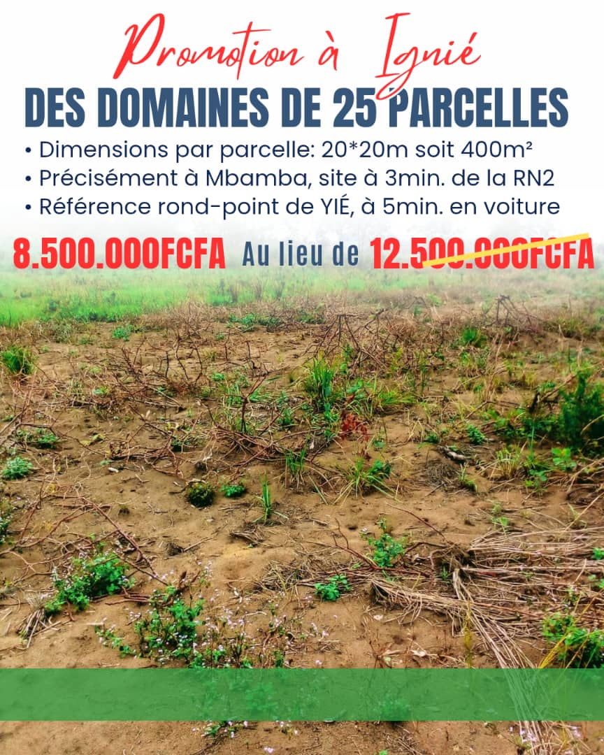 15 parcelle a 25 parcelle de 400m2 a yie a 3 minutes du goudron 