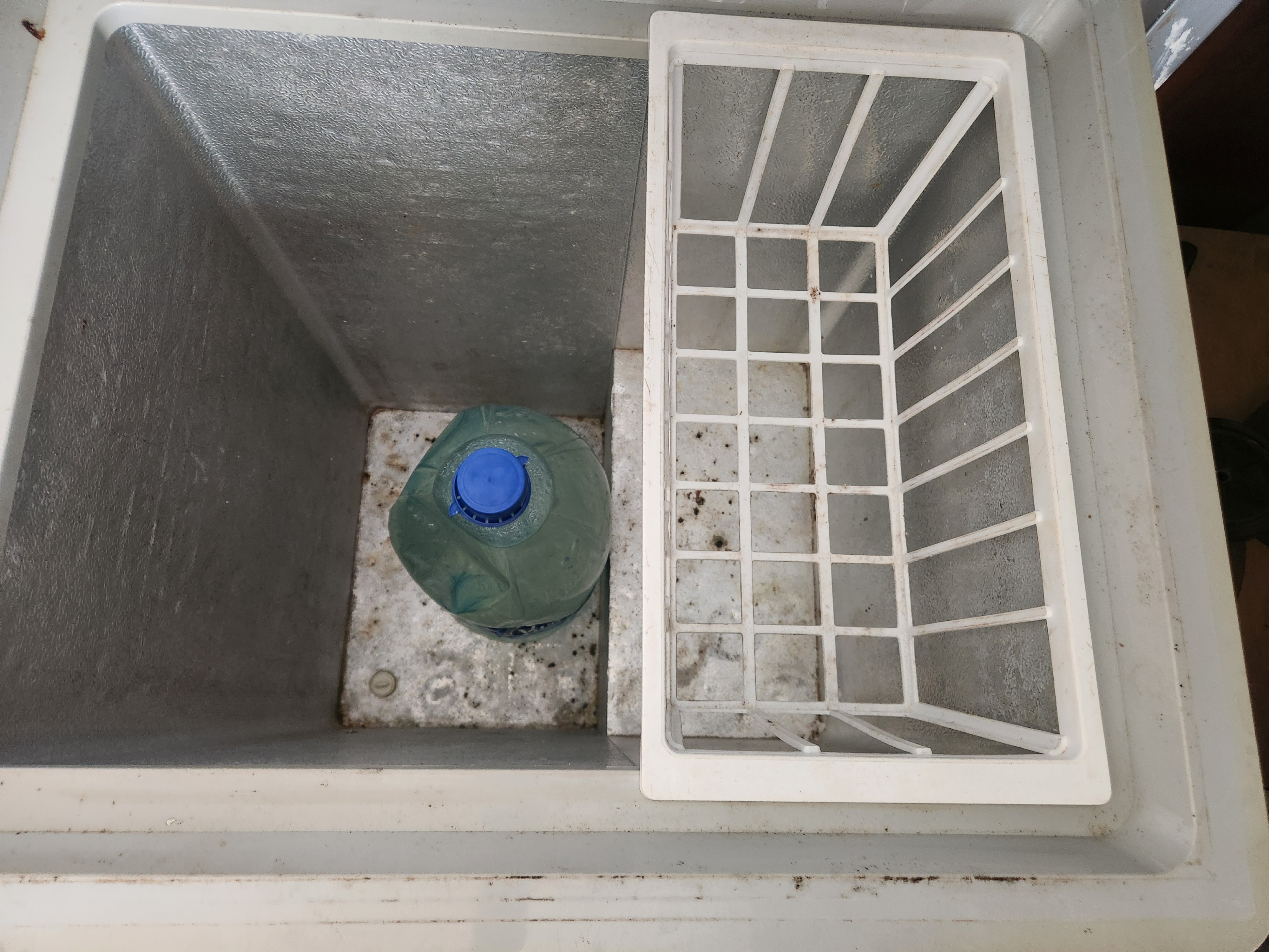 congélateur en occasion