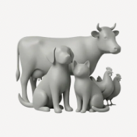 Animaux 