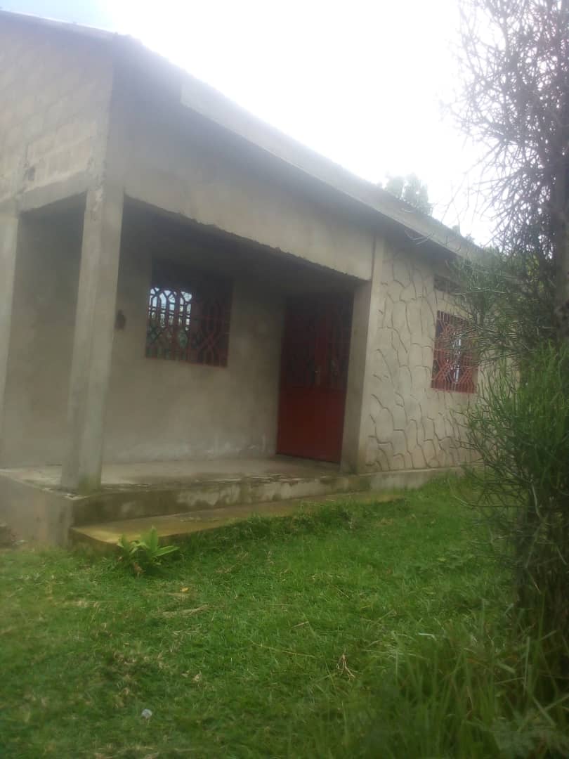 Vente d'une parcelle des deux chambres salon cuisine à mont ngafula Quartier musangu 