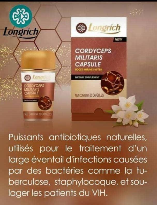 cordiceps militaris longrich 